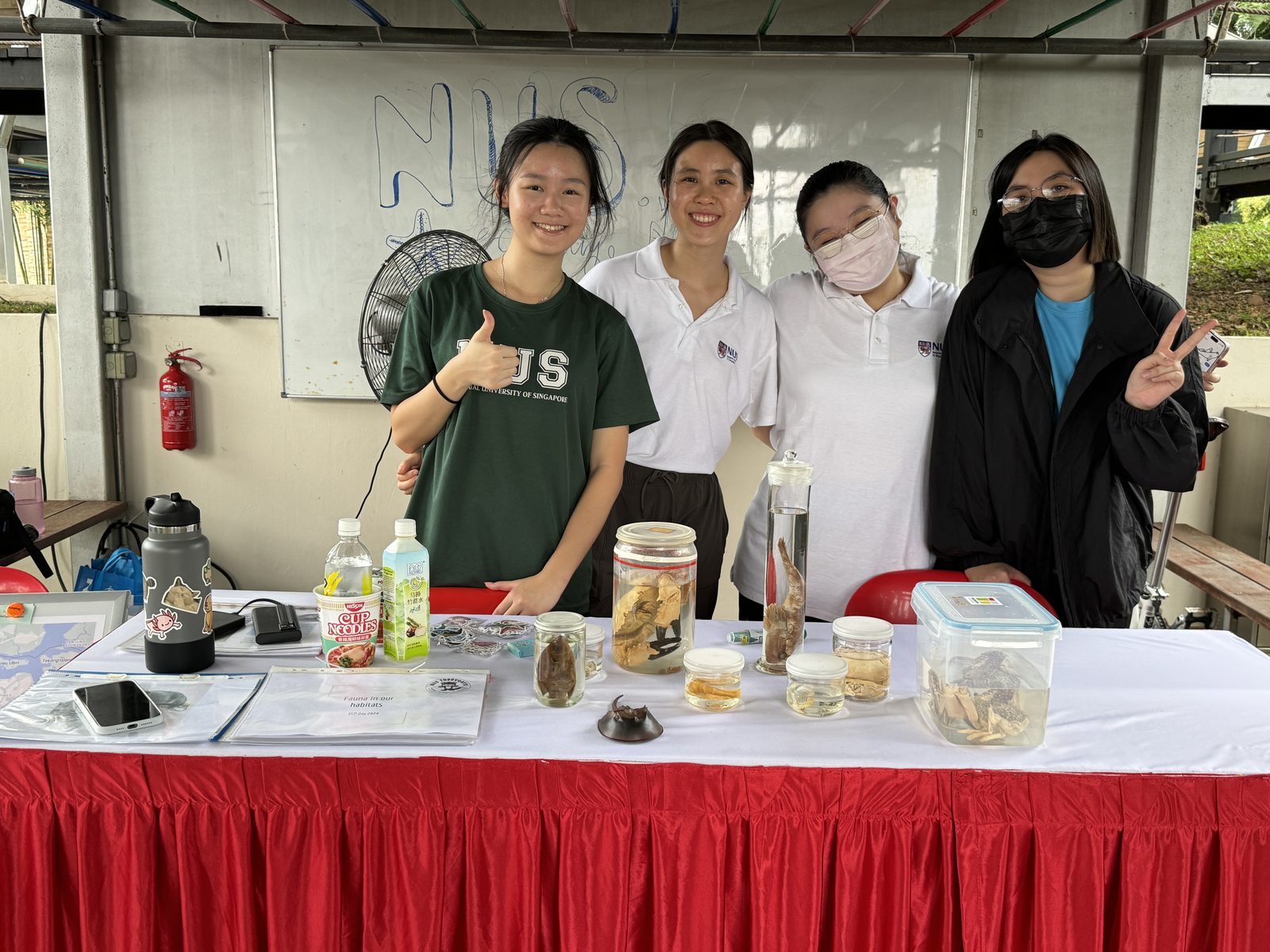 ECP Day 2024  -  Photo 2