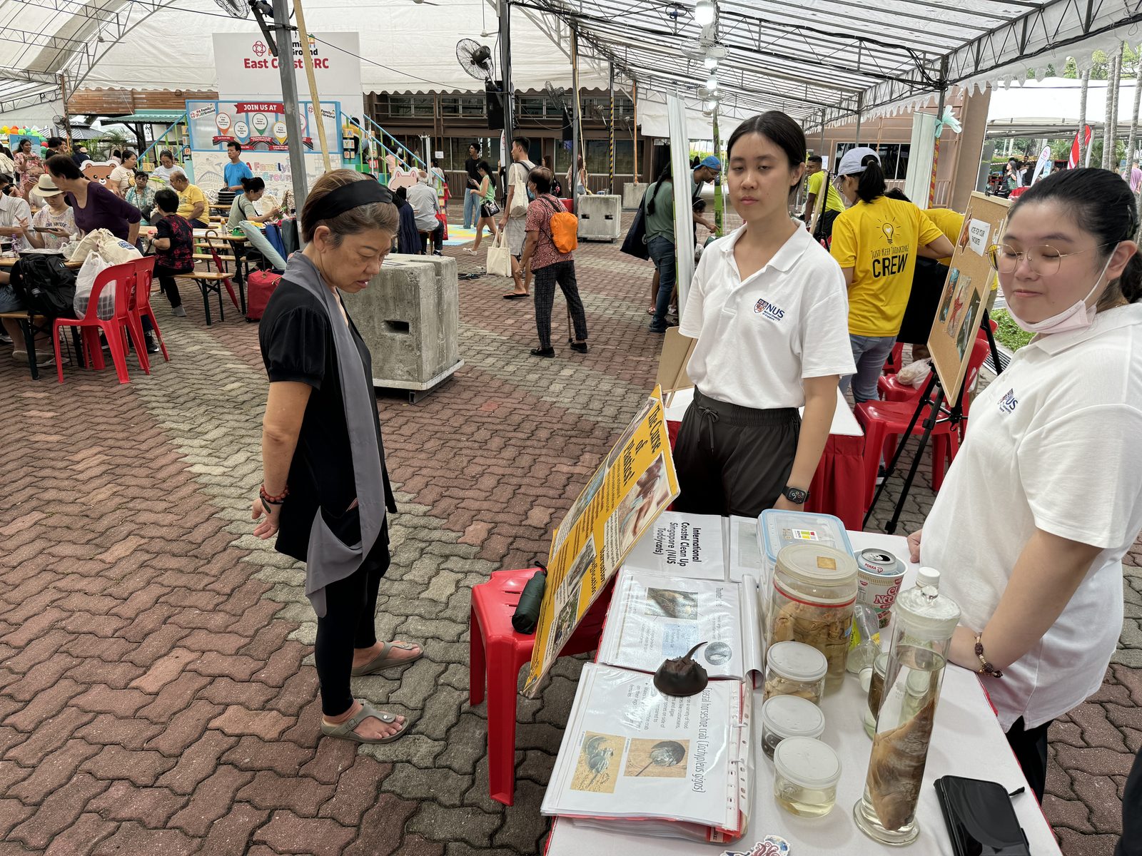 ECP Day 2024  -  Photo 14