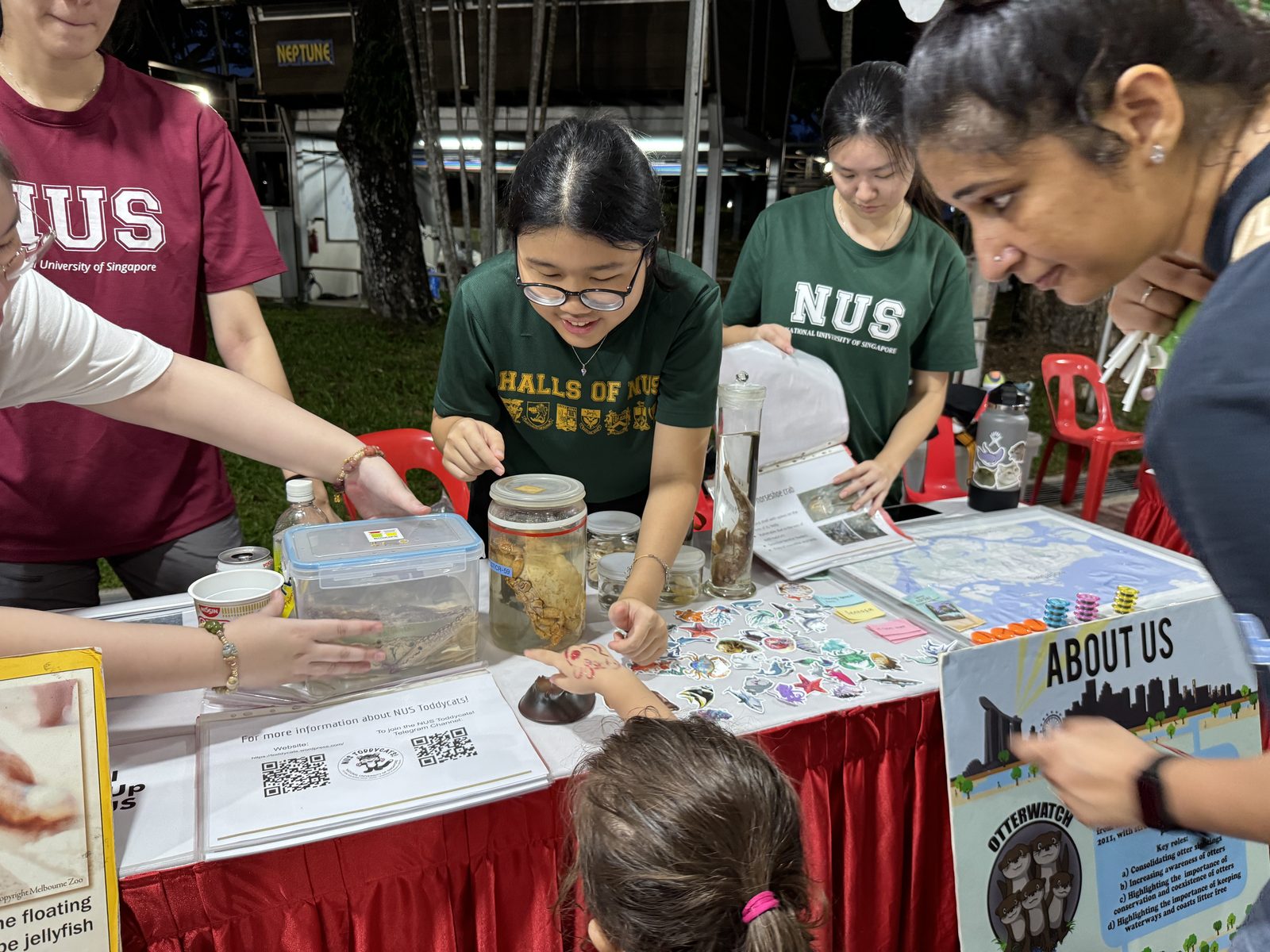 ECP Day 2024  -  Photo 34