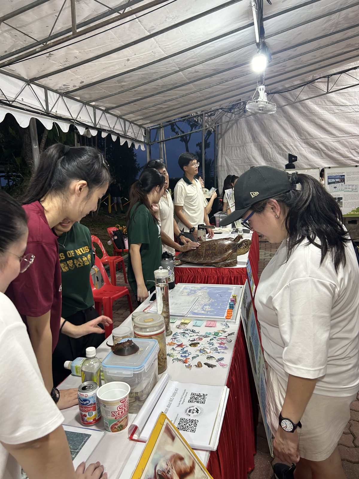 ECP Day 2024  -  Photo 87